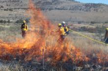 Conafor Aguascalientes: solo 16 combatientes y sin equipo para combatir incendios forestales