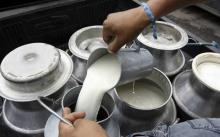 Leche bronca