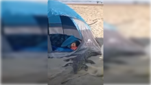 Turista 