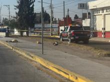 Motociclista se impacta contra un señalamiento y pierde la vida