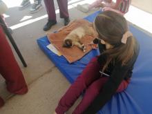 El Quirófano Veterinario Móvil estará en Jaltomate y Mirador de las Culturas