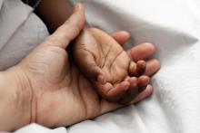 Manos de un niño y un adulto 