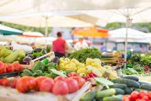La venta más fuerte en el Agropecuario son las verduras aunque la sequía ya comienza a afectar