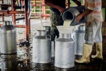 Productores de leche