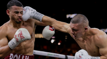 Pitbull Cruz