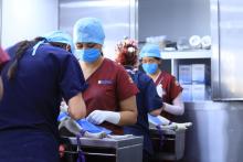 El veterinario móvil llegará este jueves a Jaltomate 