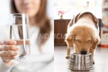 Gobierno de CDMX advierte: agua de la Benito Juárez no es apta para personas ni para mascotas