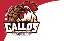GALLOS BASKETBALL