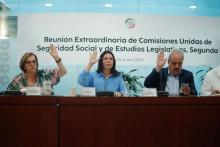 SENADO DE LA REPÚBLICA