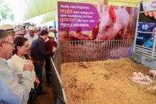 La gobernadora inauguró la Expo Ganadera de la FNSM