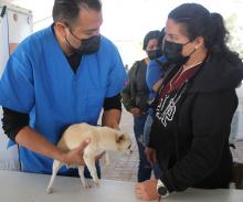 Servicios veterinarios 