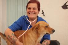 Servicios veterinarios 
