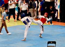 Copa JDK de Taekwondo