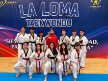 Taekwondo