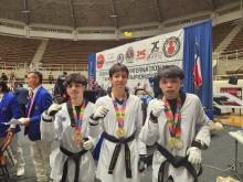 Taekwondo