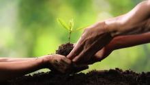 Movimiento Ambiental denuncia falta de compromiso con el medio ambiente en todos los niveles gubernamentales