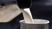 Impulsan venta de leche local por un valor de 10 pesos