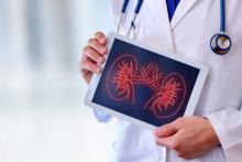 Prevención y tratamiento como pilares fundamentales para el cuidado de la salud renal: IMSS