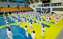 Taekwondo