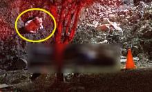 El hermano del asesino ofreció 3 mil pesos a los testigos para que se quedaran callados