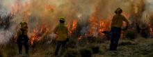 Incendios