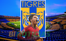 RAPHAEL VARANE TIGRES