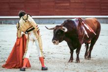 También abarca otros eventos con becerros y vaquillas.