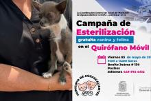El Quirófano Veterinario Móvil estará este viernes en Pocitos