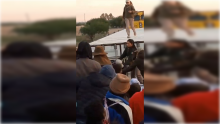 Migrantes 