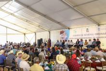 Tere Jiménez y el sector ganadero 