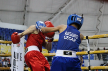 Boxeo 