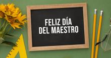 DOCENTES