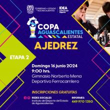 Copa Aguascalientes 2024