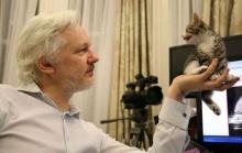 Julian Assange