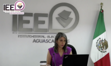 IEE pluris