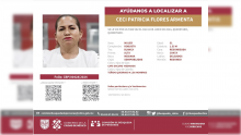 Ficha de Ceci Flores 