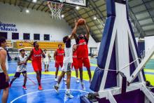 GALLOS PRETEMPORADA