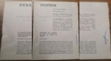 Juicio de Inconformidad por parte de Morena 