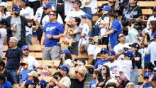 DODGERS PERRITOS
