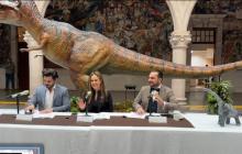 Exhibición