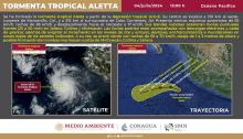 Aletta 