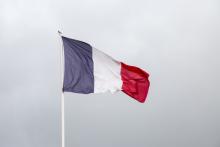 Bandera de Francia 