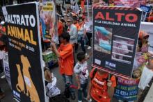  Por los derechos de los animales
