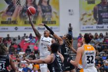 PANTERAS VS. FUERZA REGIA
