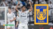 JOAQUIM PEREIRA TIGRES