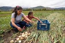 Mujeres lideran solo el 19% de las unidades de producción en México