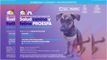 Caravana de la Salud Canina y Felina