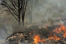 Hay de 10 a 30 incendios forestales al día en la capital