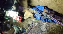 Un adulto mayor, propietario de la mascota agradeció que ayudaran a liberar a su compañero de vida