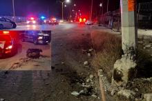 Ebrio conductor protagonizó fuerte accidente y vive de milagro. 